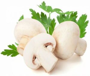 Шампиньоны свежие