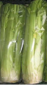 Сельдерей стебель упак.