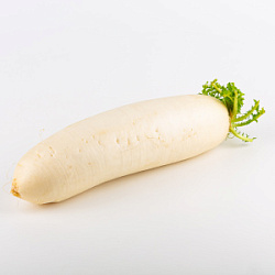 Редька Дайкон