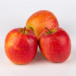 Яблоки Ред Принц