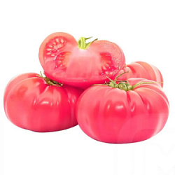 Помидоры розовые