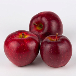 Яблоки Черный Принц