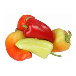 Перец ТАШКЕНТ