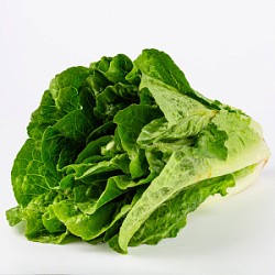 Салат Романо