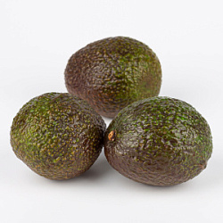 Авокадо Хасс