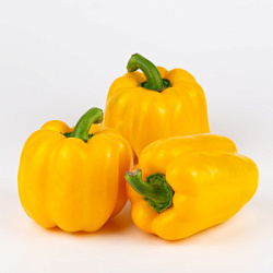 Перец болгарский желтый