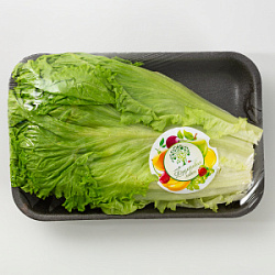 Салат листовой 150гр