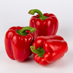 Перец болгарский красный