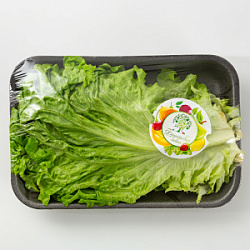 Салат листовой 70 гр